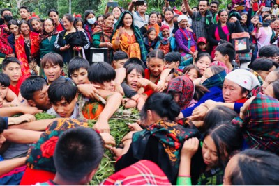 सकियो चार सय वर्ष पुरानो भदौरे सिस्नो खोस्ने पर्व   